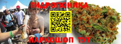 spice Донецк