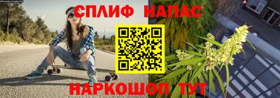 прущие грибы Дубна