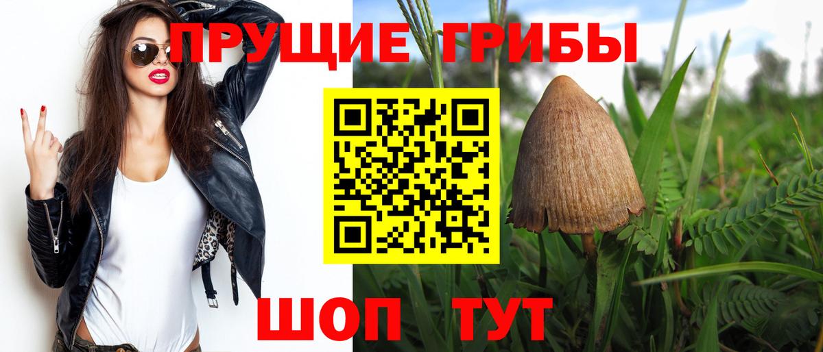 Галлюциногенные грибы Psilocybe  Вход с VPN  как найти   Надым 