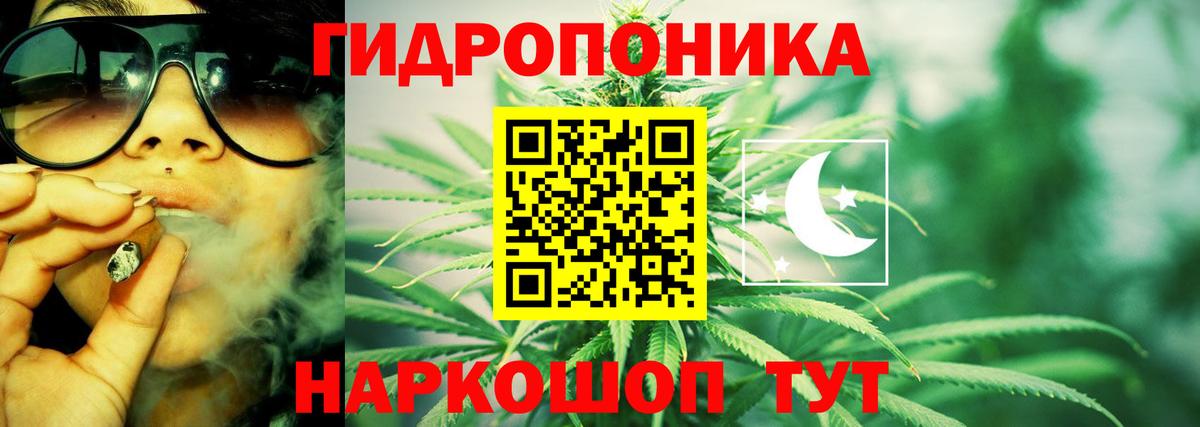 Каннабис индика Надым
